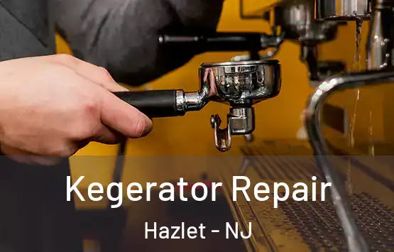  Kegerator Repair Hazlet - NJ