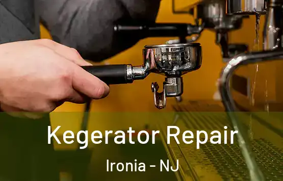 Kegerator Repair Ironia - NJ