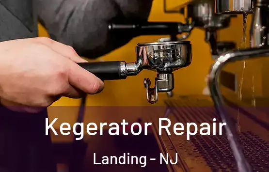  Kegerator Repair Landing - NJ