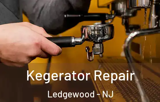  Kegerator Repair Ledgewood - NJ