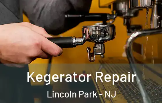  Kegerator Repair Lincoln Park - NJ