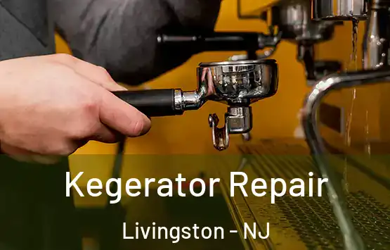  Kegerator Repair Livingston - NJ