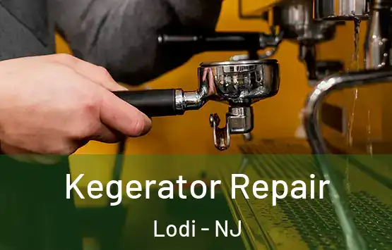  Kegerator Repair Lodi - NJ