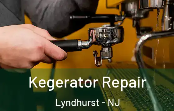  Kegerator Repair Lyndhurst - NJ