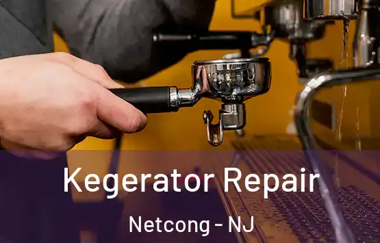  Kegerator Repair Netcong - NJ