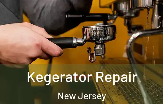  Kegerator Repair New Jersey