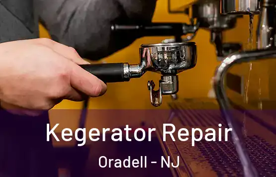  Kegerator Repair Oradell - NJ
