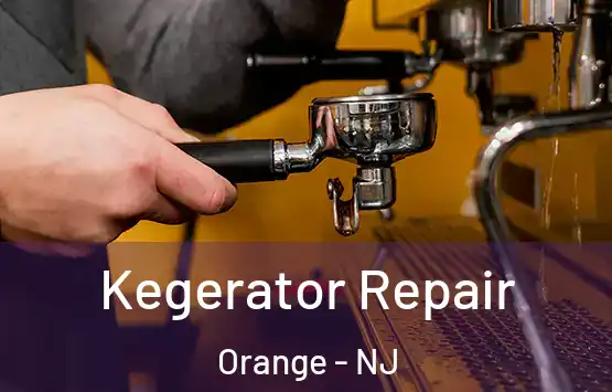  Kegerator Repair Orange - NJ
