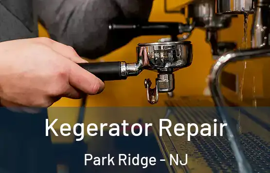  Kegerator Repair Park Ridge - NJ