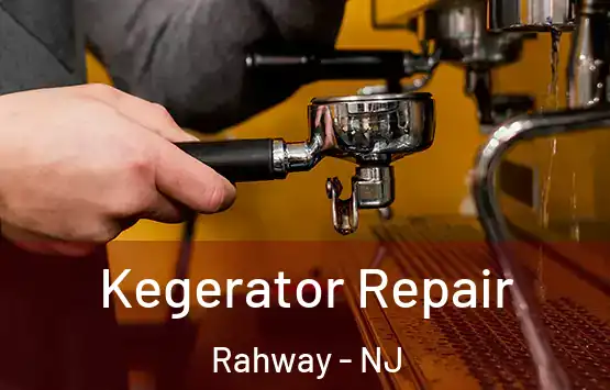  Kegerator Repair Rahway - NJ