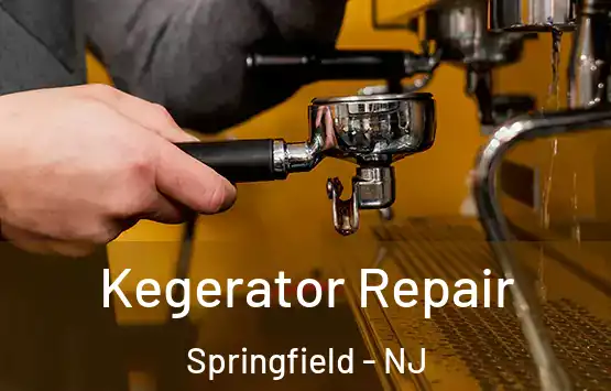  Kegerator Repair Springfield - NJ