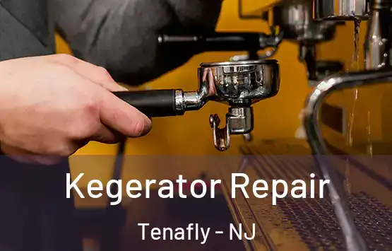  Kegerator Repair Tenafly - NJ