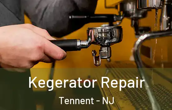  Kegerator Repair Tennent - NJ