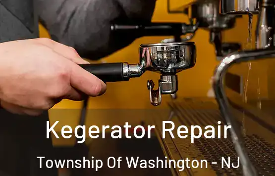  Kegerator Repair Township Of Washington - NJ