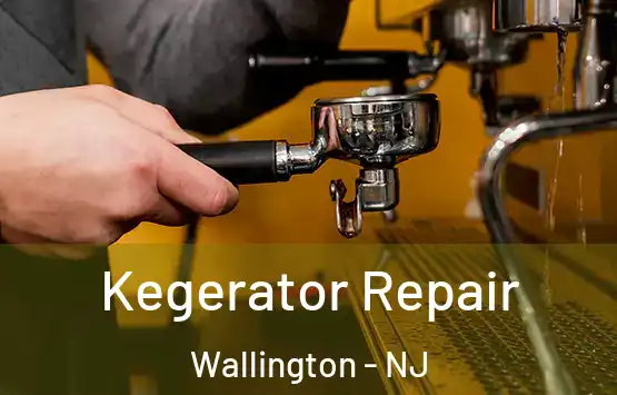  Kegerator Repair Wallington - NJ