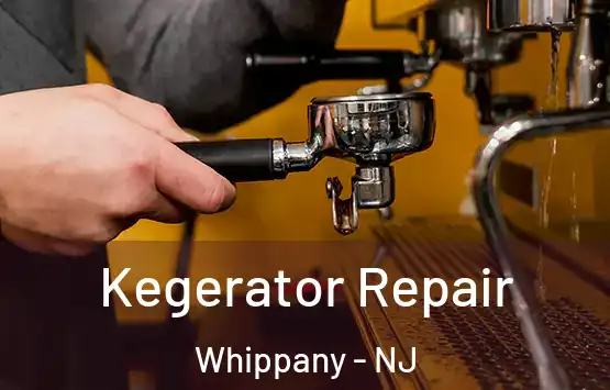  Kegerator Repair Whippany - NJ