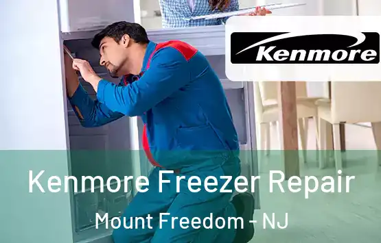  Kenmore Freezer Repair Mount Freedom - NJ
