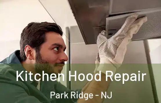  Kitchen Hood Repair Park Ridge - NJ
