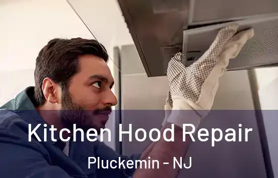  Kitchen Hood Repair Pluckemin - NJ