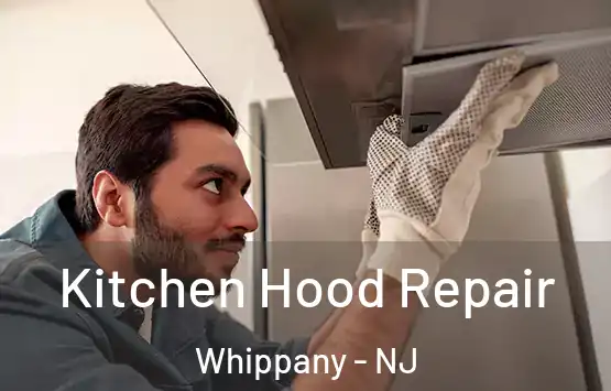  Kitchen Hood Repair Whippany - NJ