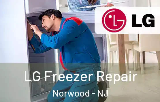  LG Freezer Repair Norwood - NJ