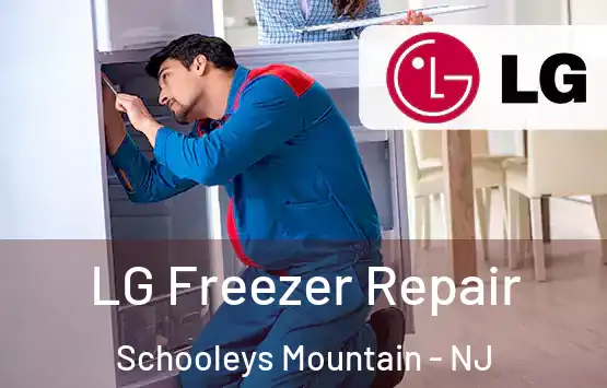  LG Freezer Repair Schooleys Mountain - NJ