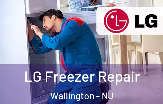  LG Freezer Repair Wallington - NJ