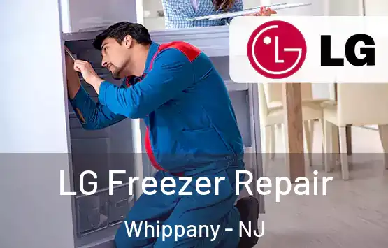  LG Freezer Repair Whippany - NJ