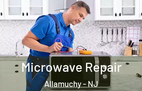  Microwave Repair Allamuchy - NJ