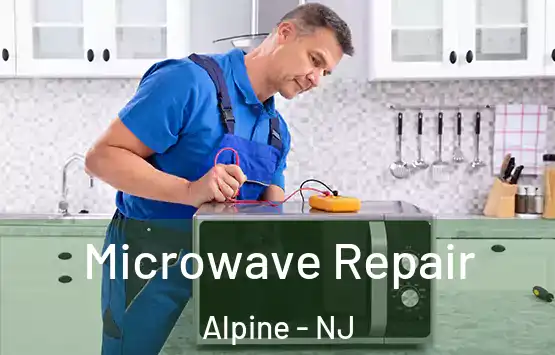  Microwave Repair Alpine - NJ