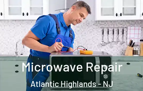 Microwave Repair Atlantic Highlands - NJ