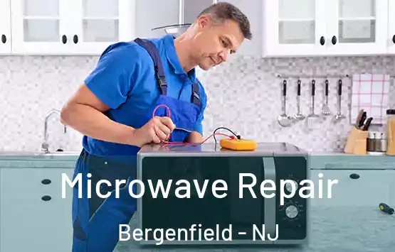  Microwave Repair Bergenfield - NJ