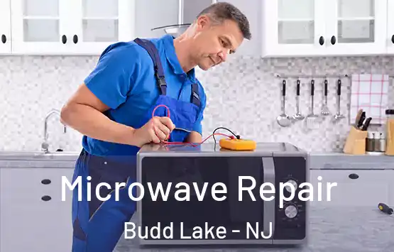  Microwave Repair Budd Lake - NJ