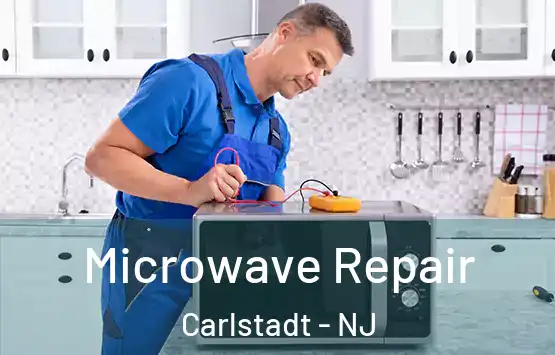  Microwave Repair Carlstadt - NJ