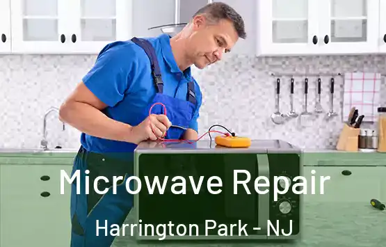  Microwave Repair Harrington Park - NJ