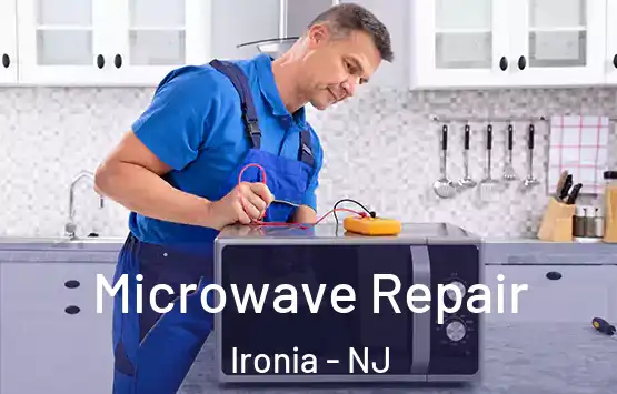  Microwave Repair Ironia - NJ