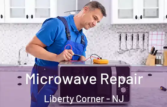  Microwave Repair Liberty Corner - NJ