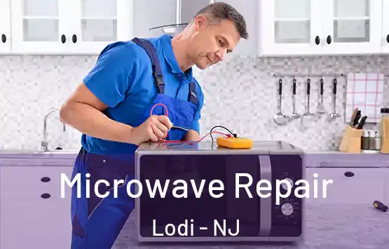  Microwave Repair Lodi - NJ