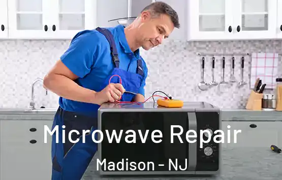  Microwave Repair Madison - NJ