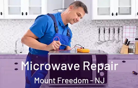  Microwave Repair Mount Freedom - NJ