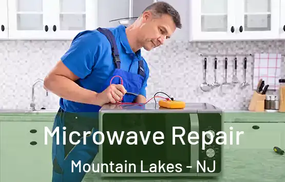  Microwave Repair Mountain Lakes - NJ