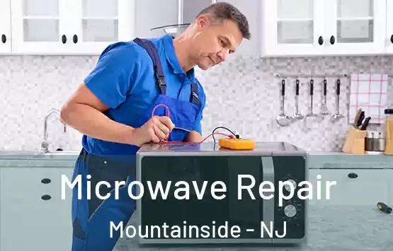  Microwave Repair Mountainside - NJ