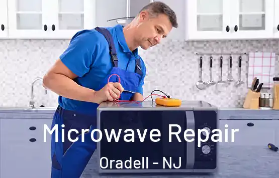  Microwave Repair Oradell - NJ
