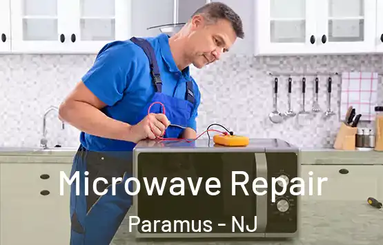  Microwave Repair Paramus - NJ