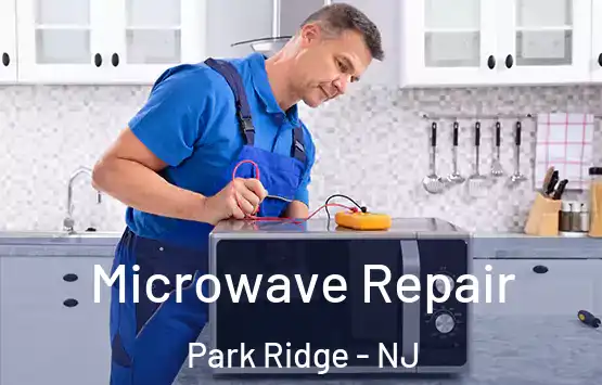  Microwave Repair Park Ridge - NJ