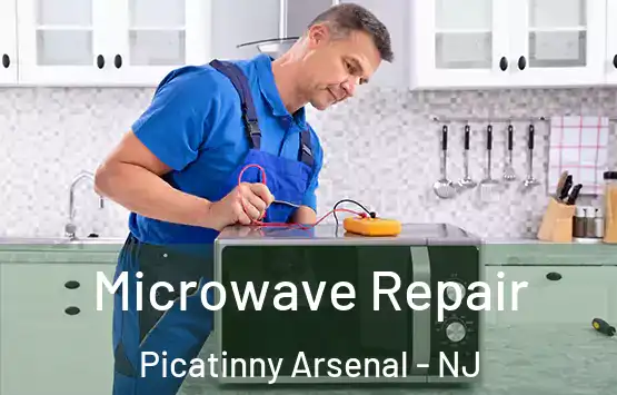  Microwave Repair Picatinny Arsenal - NJ