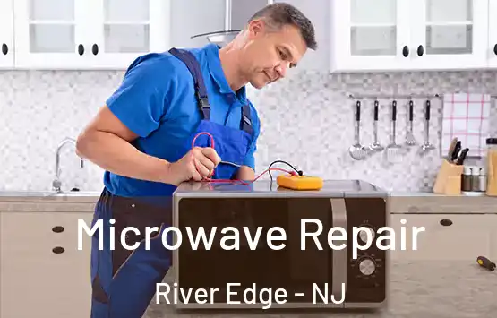  Microwave Repair River Edge - NJ