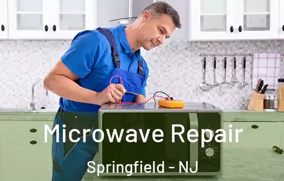  Microwave Repair Springfield - NJ