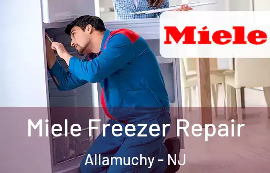  Miele Freezer Repair Allamuchy - NJ