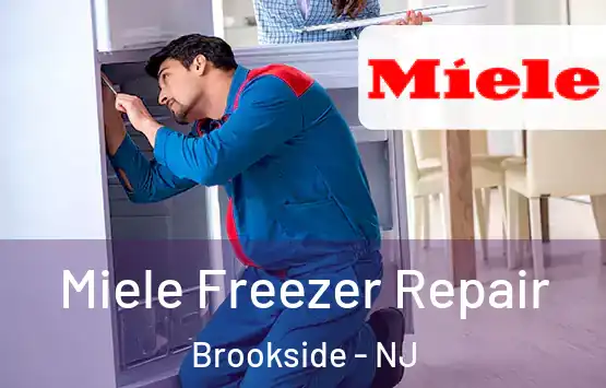  Miele Freezer Repair Brookside - NJ